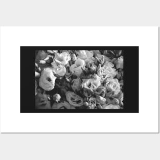 Black and White Lisianthus Posters and Art